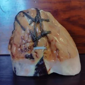 Prosciutto di Parma
